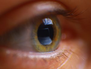 Reflection laptop in an eye